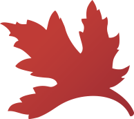 Maple leaf